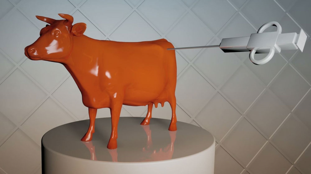 Meat creation