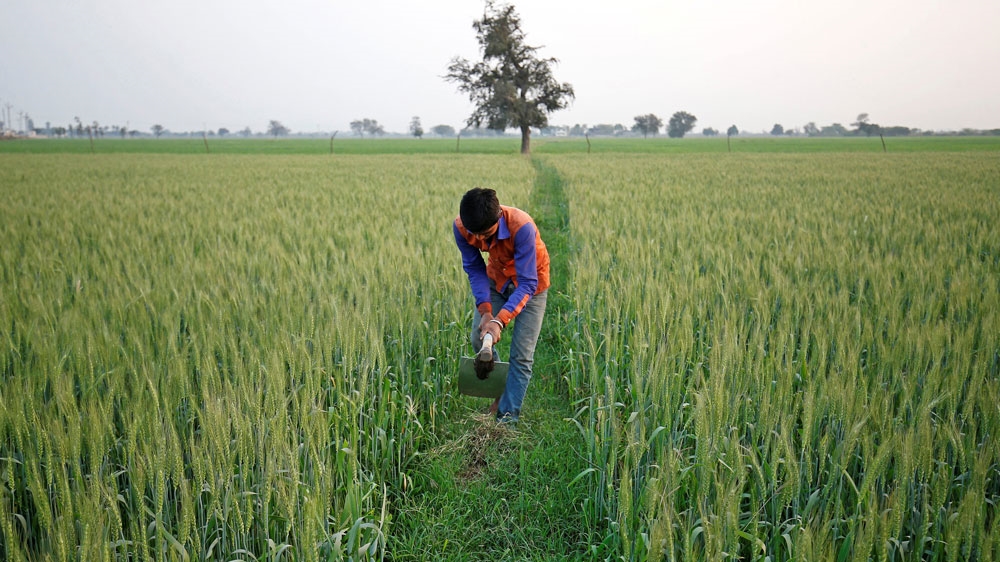 India farmers