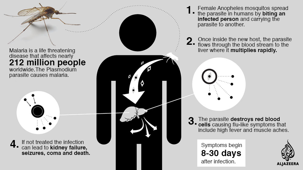 Malaria
