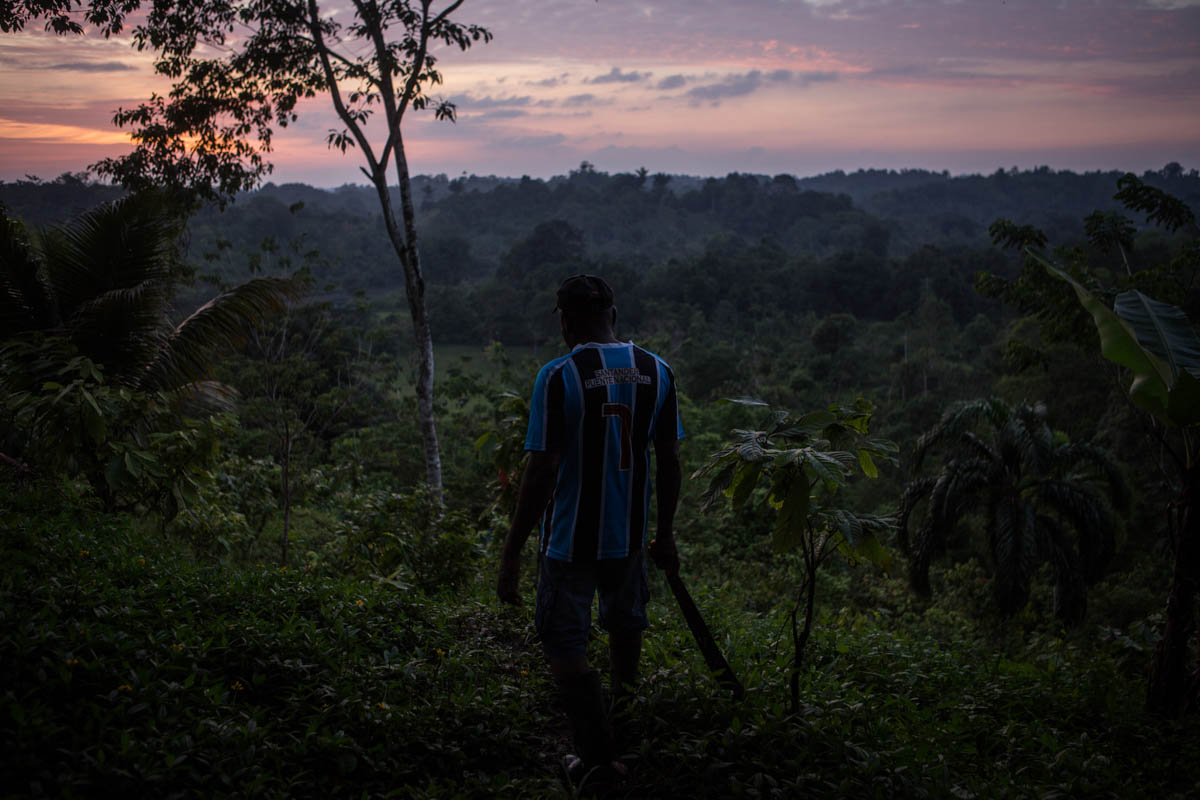 Colombia''s Coca Paradise 