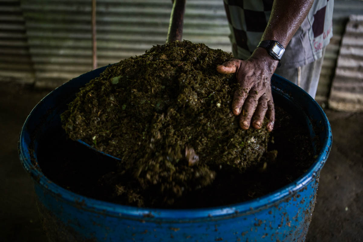 Colombia''s Coca Paradise 