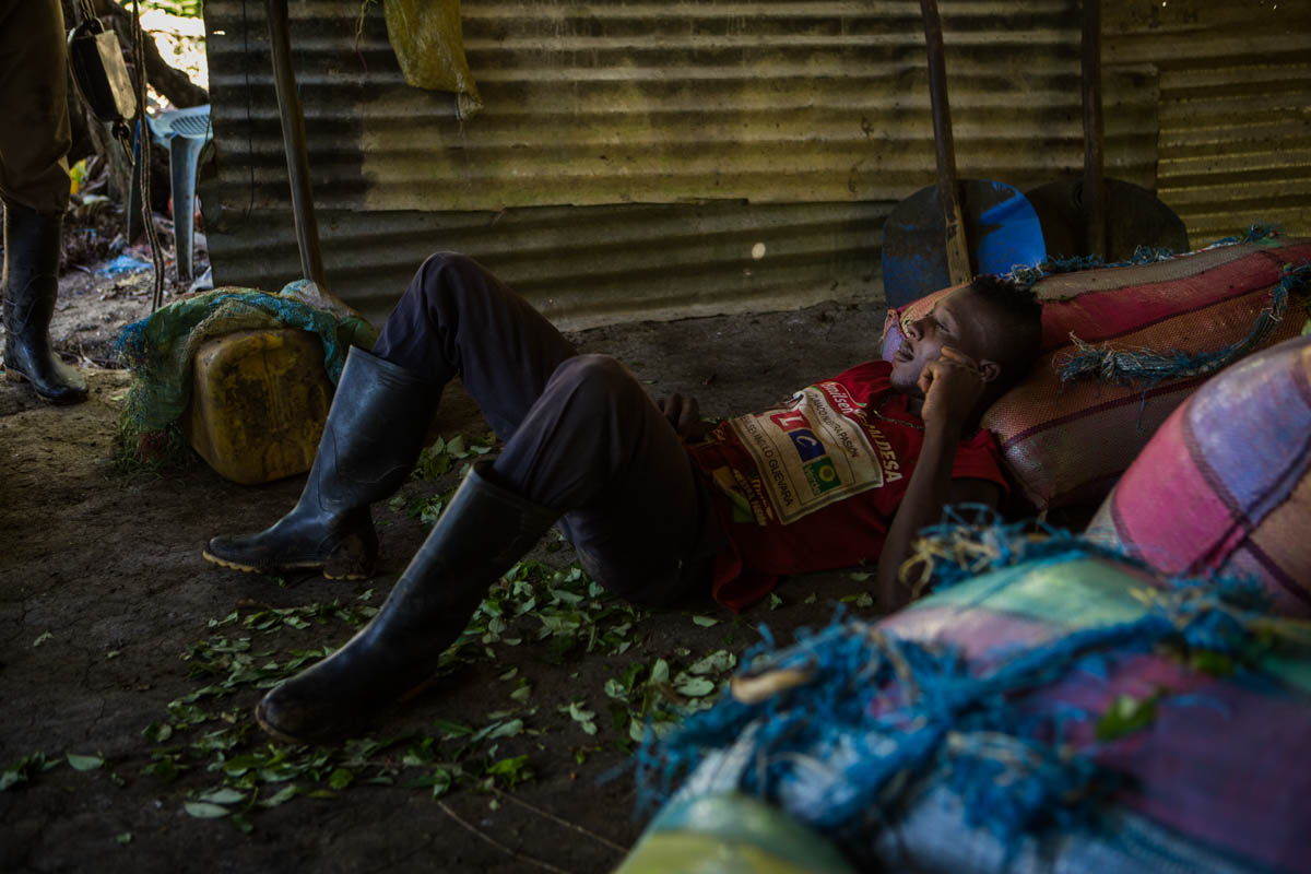 Colombia''s Coca Paradise