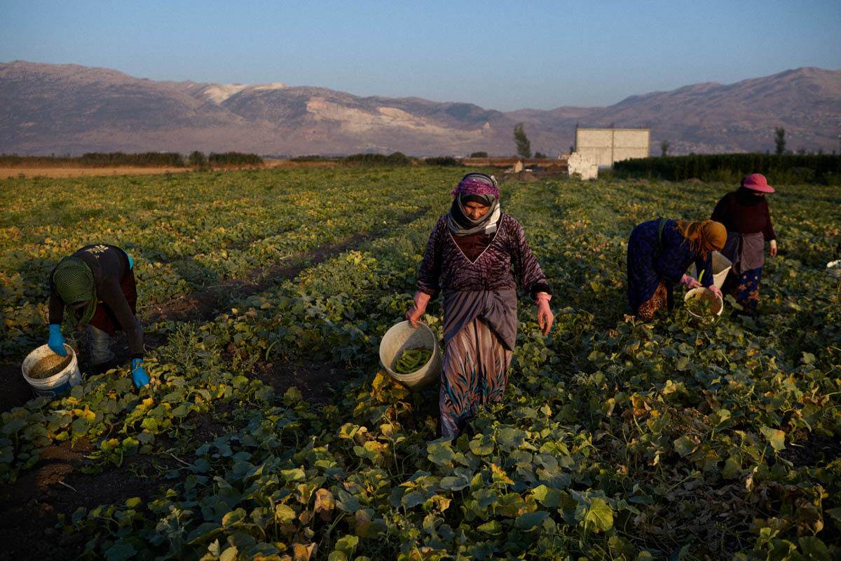 Syrian refugees in Bekaa Valley/ PLEASE DO NOT USE