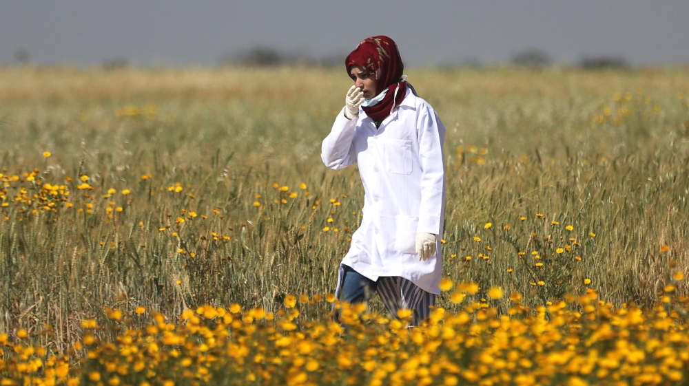 Razan al-Najjar