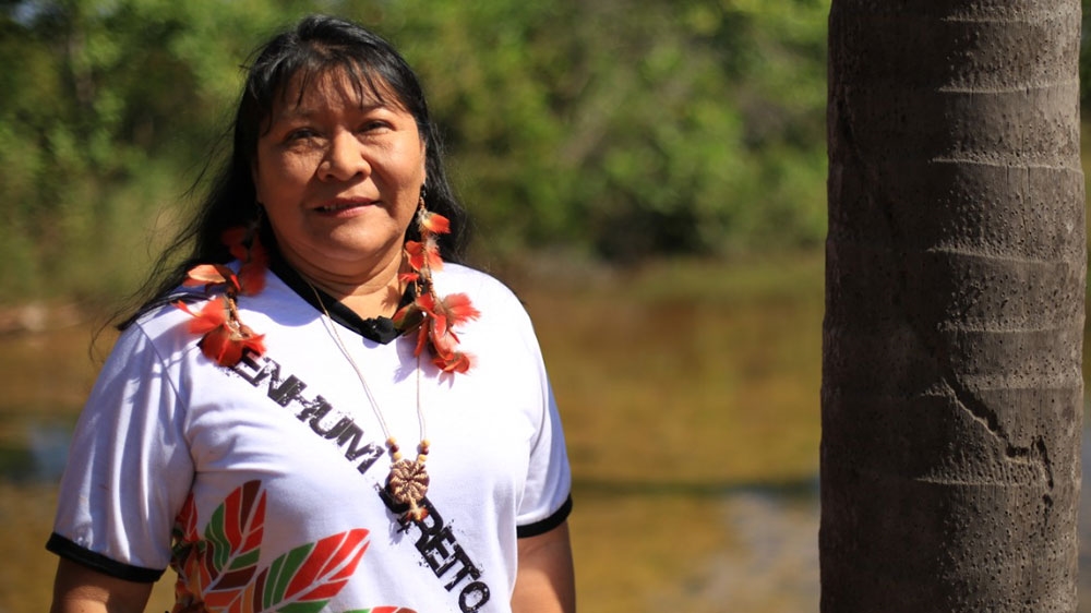 Indigenous brazil