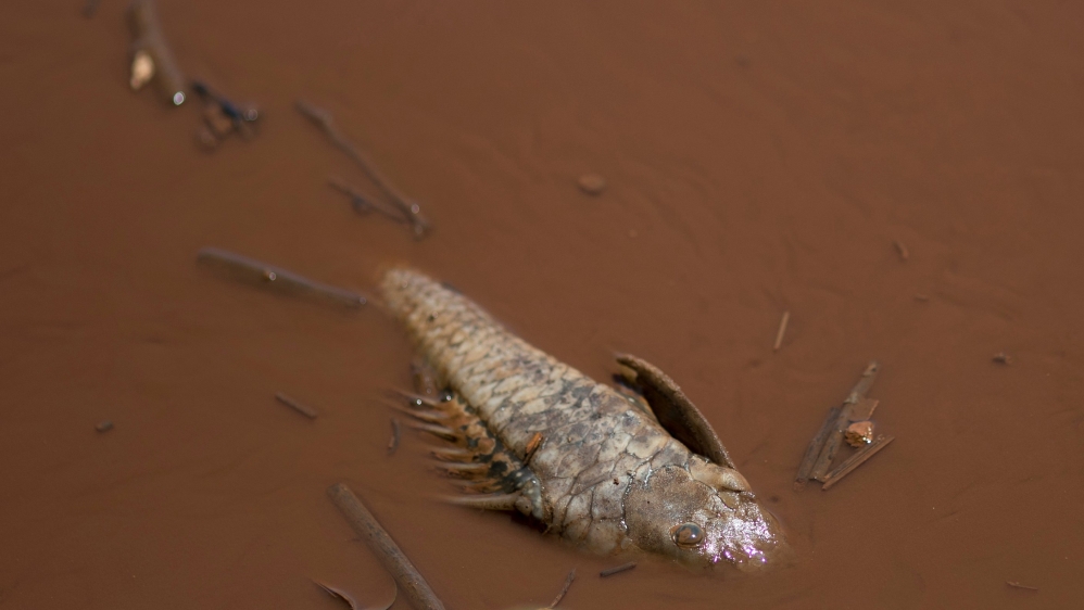 Brazil river contamination