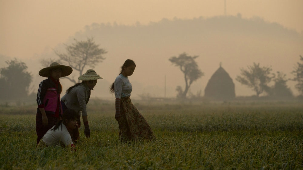 Myanmar land