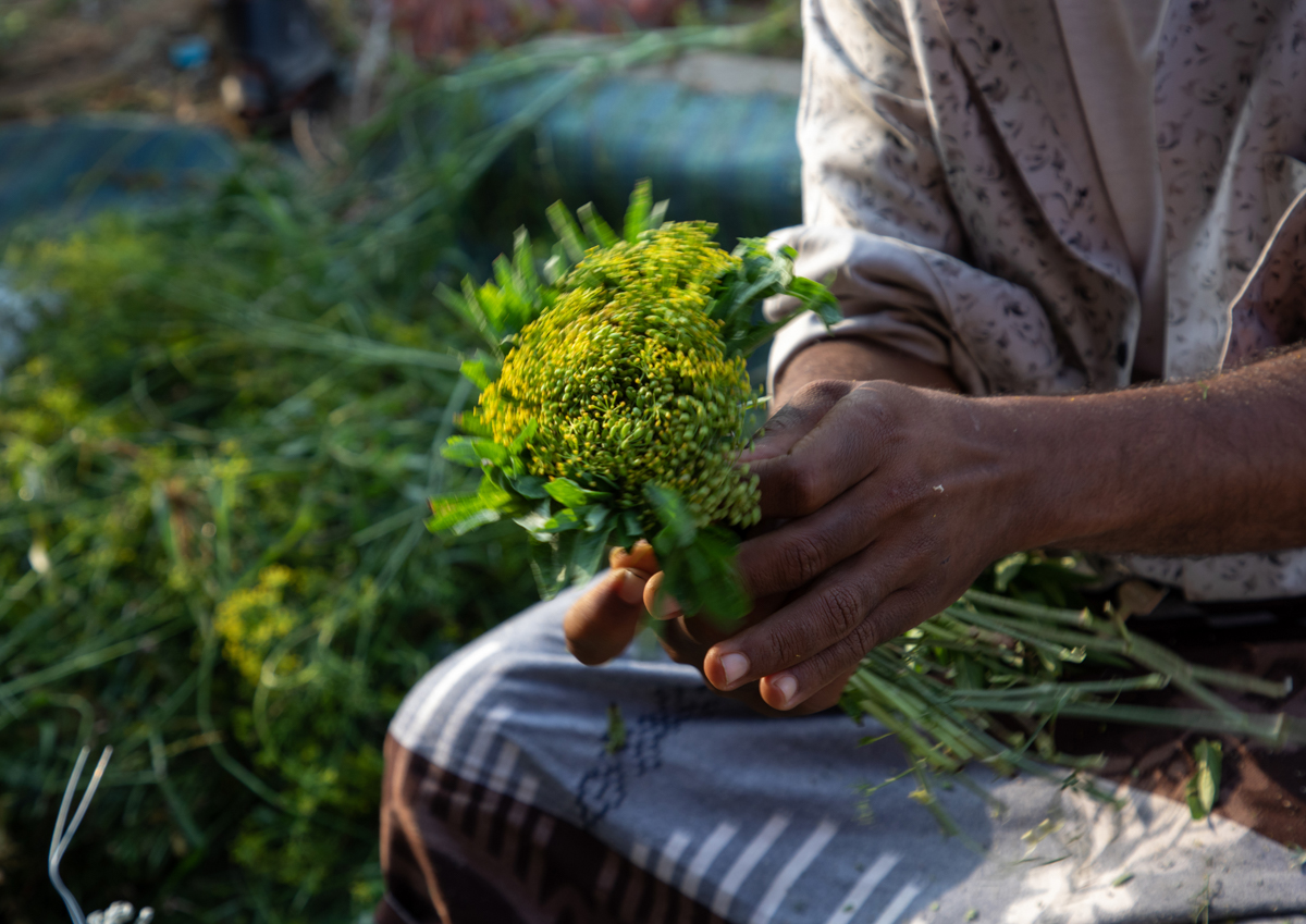 The flower men of Saudi Arabia [Eric Lafforgue/AlJazeera]
