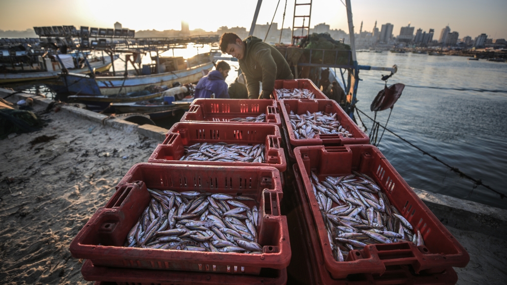 Israel increase fishing zone at Gaza''s coast