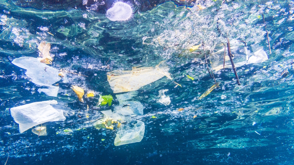 Plastic Bags