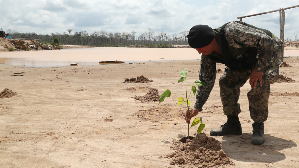 tree planting