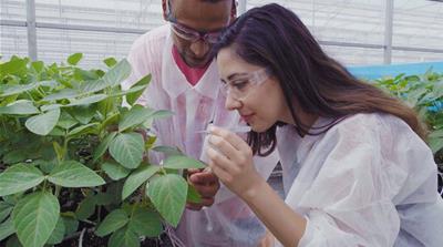 AJ+ Senior Presenter Dena Takruri gets a GMO demonstration at Bayer Crop Science in Puerto Rico