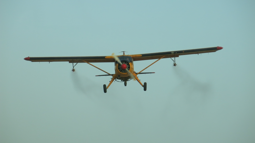 ‘We must fight this war, it is for our country’ says an entomologist who is working with local authorities to control the locusts by spraying insecticide from the air