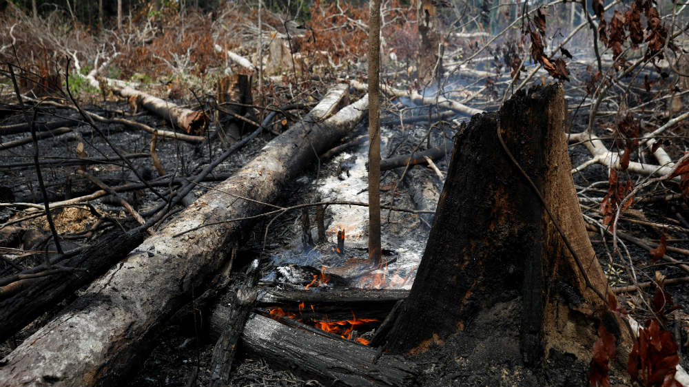 amazon fire - reuters