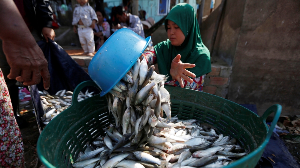 Cambodia borrower