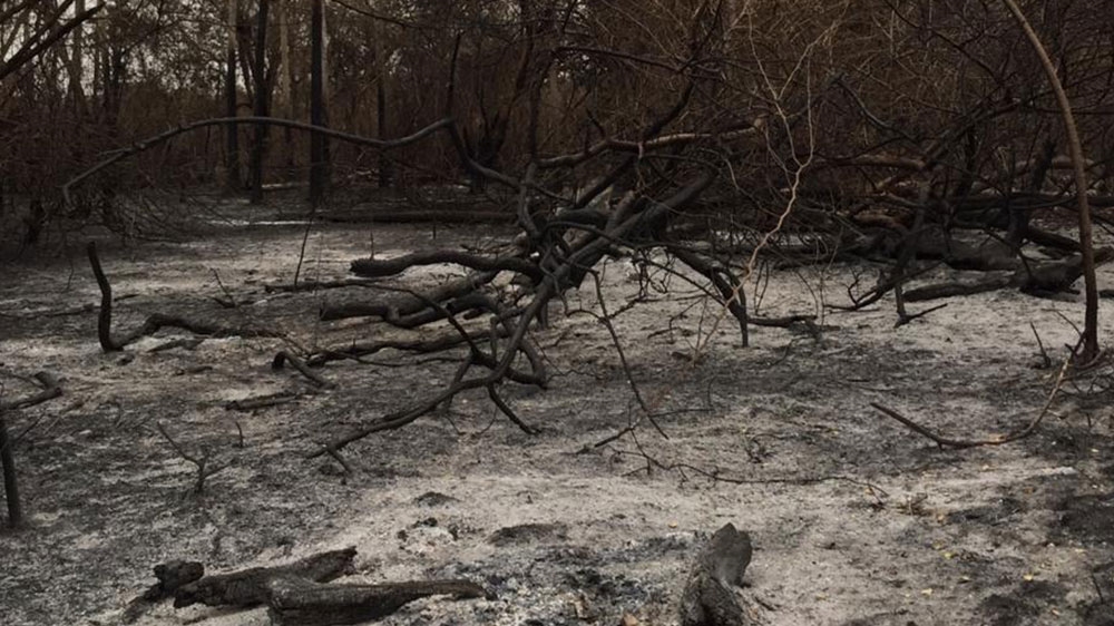 Paraguay fires