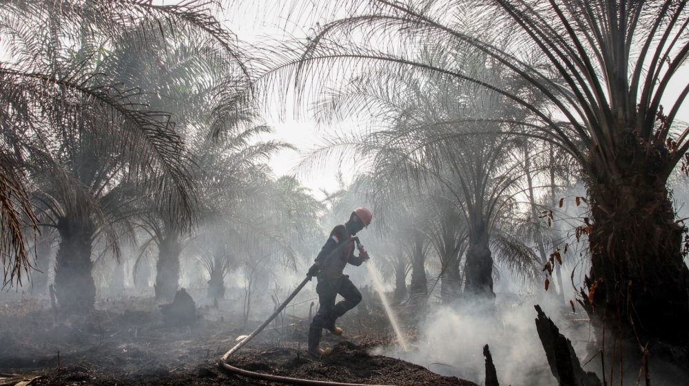 Haze Peatland fires