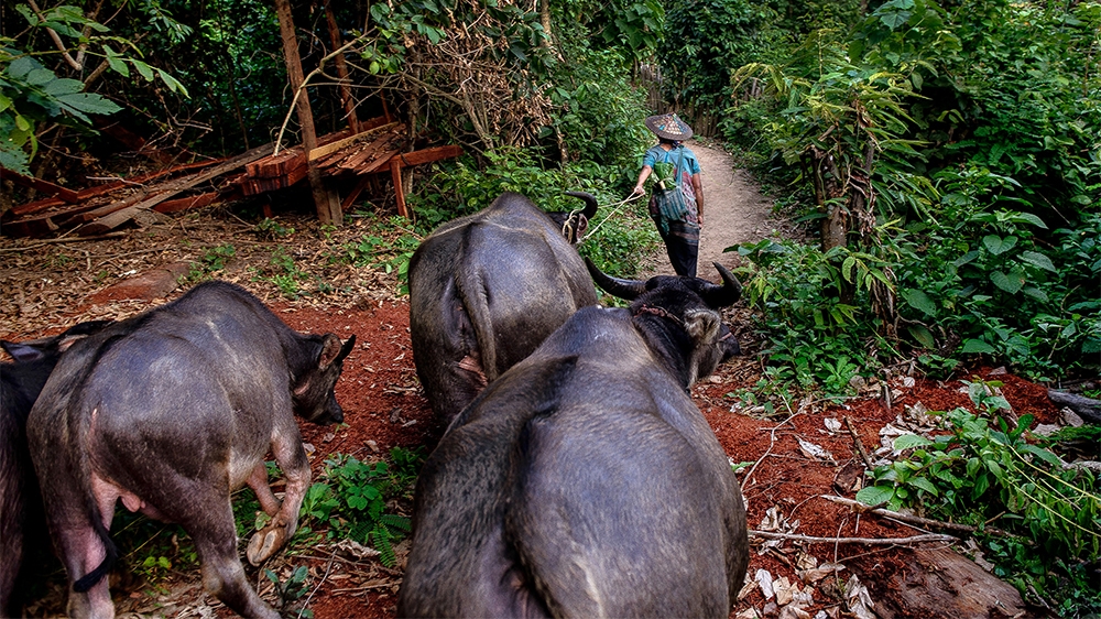 Myanmar Karen