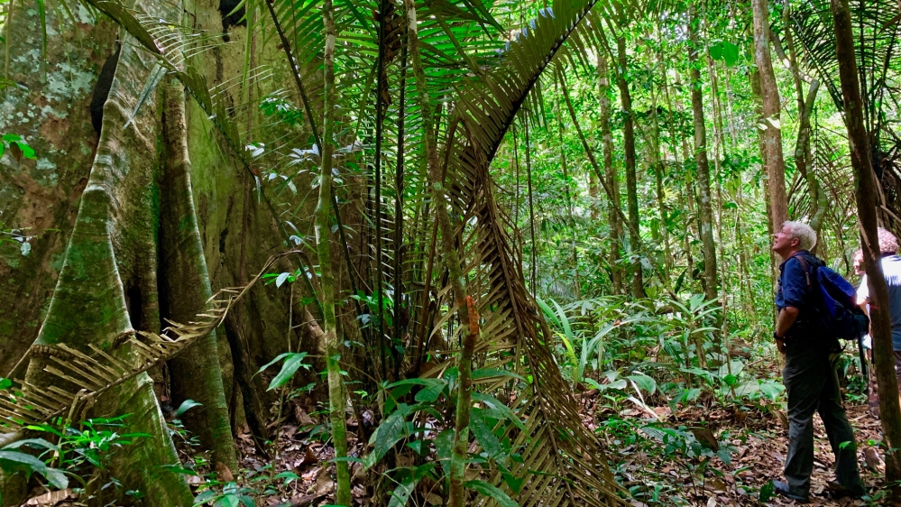 Nick Clark  - French Guiana - Planet SOS