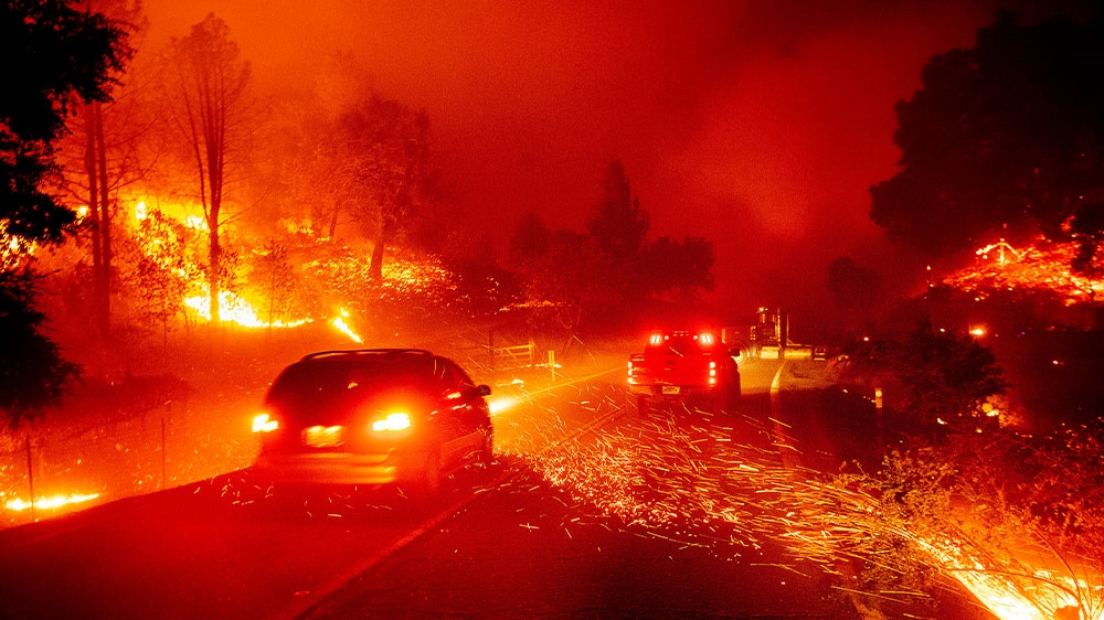 Wildfires 3