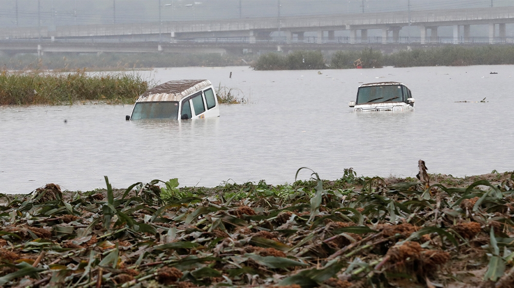 Japan Hagibis cars