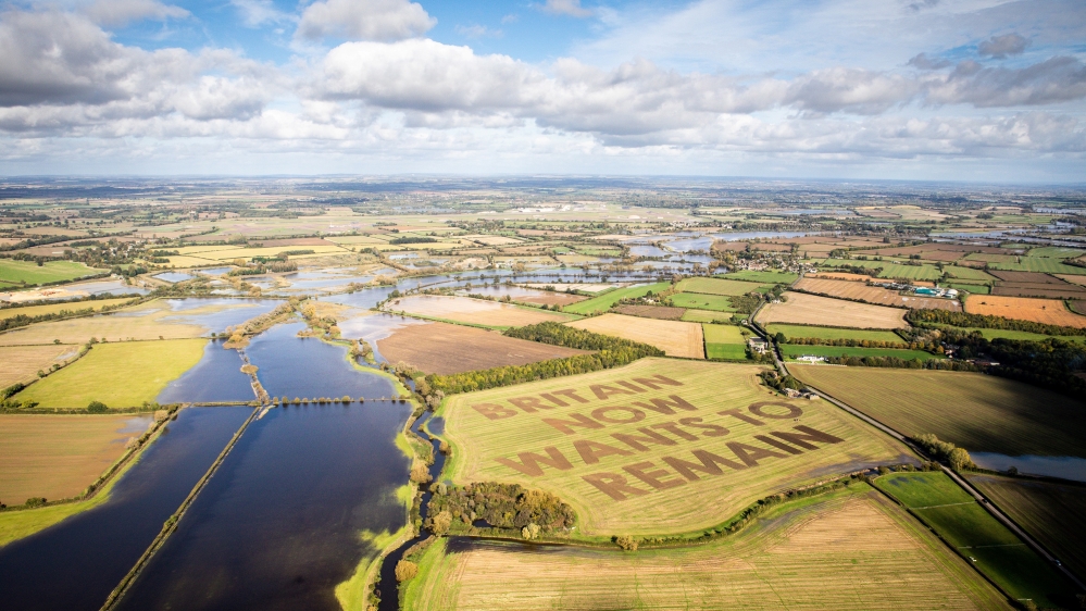 The words ‘Britain now wants to remain’ cut by anti-Brexit group Led By Donkeys are seen in a field near Swindon, England