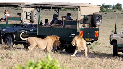 Wildlife anchors a tourist trade in Masaai Mara worth an estimated $4m annually