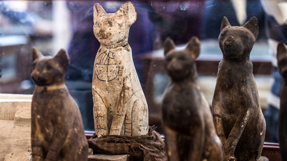 Egypt mummies