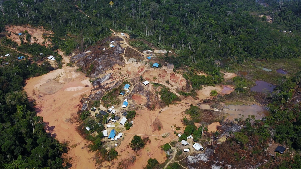 amazon brazil