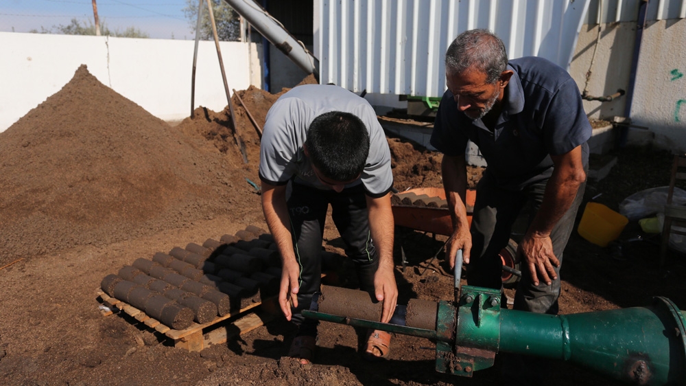 Gaza Olive Story
