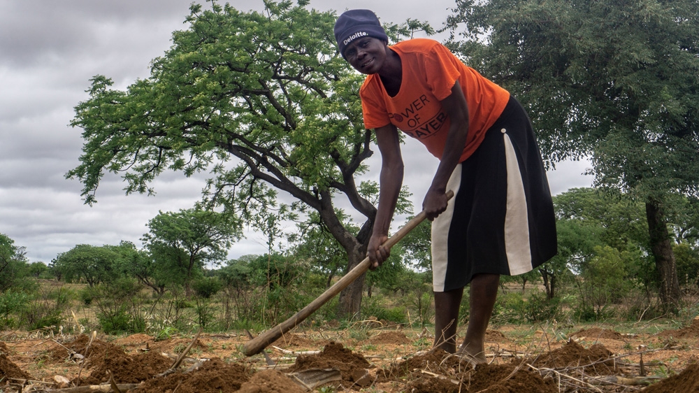 Juliet Gumbo is trying to plant her own food as she can no longer afford to buy maize