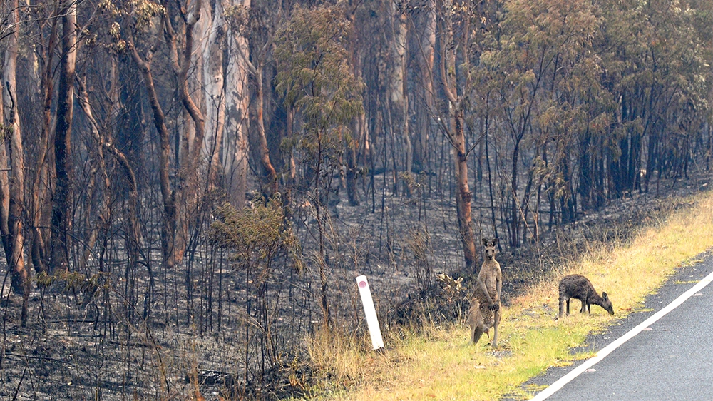 Australia fire