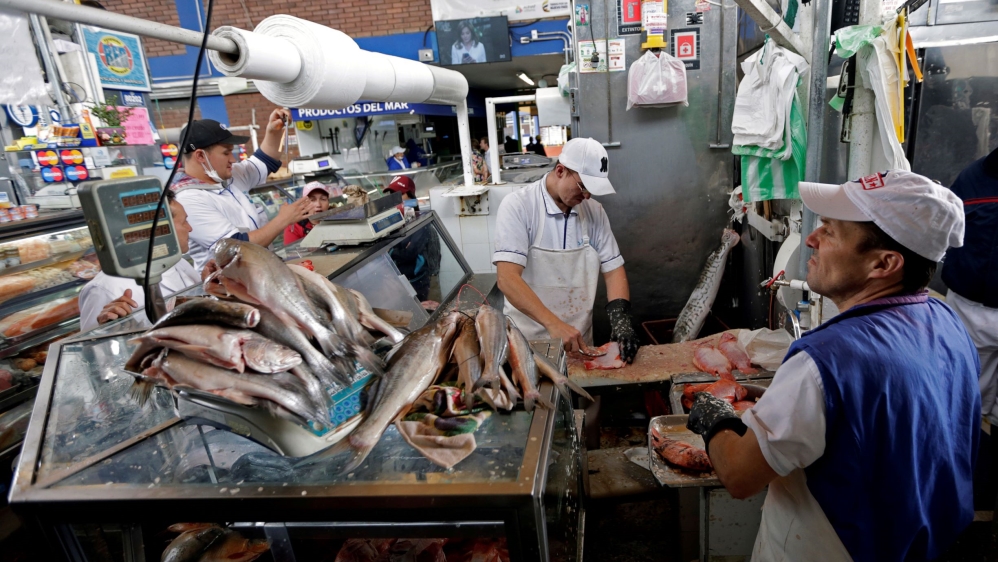 Colombia Fishing