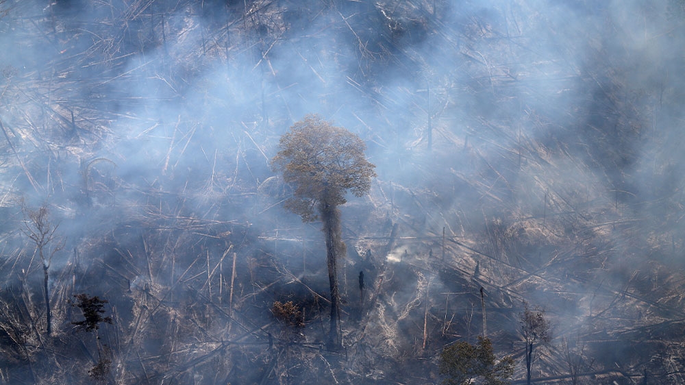 Amazon fires