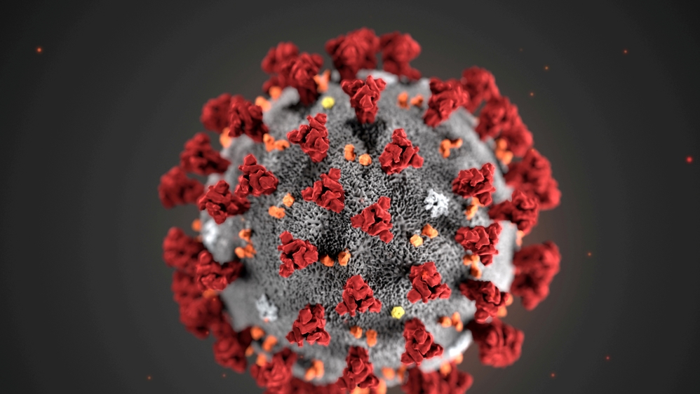 An illustration released by the Centers for Disease Control and Prevention in Atlanta, Georgia, shows the coronavirus