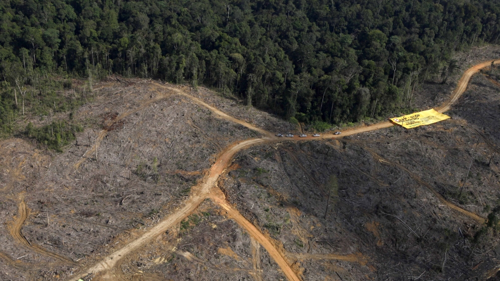 Logging