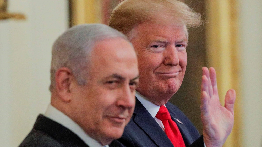 Donald bibi