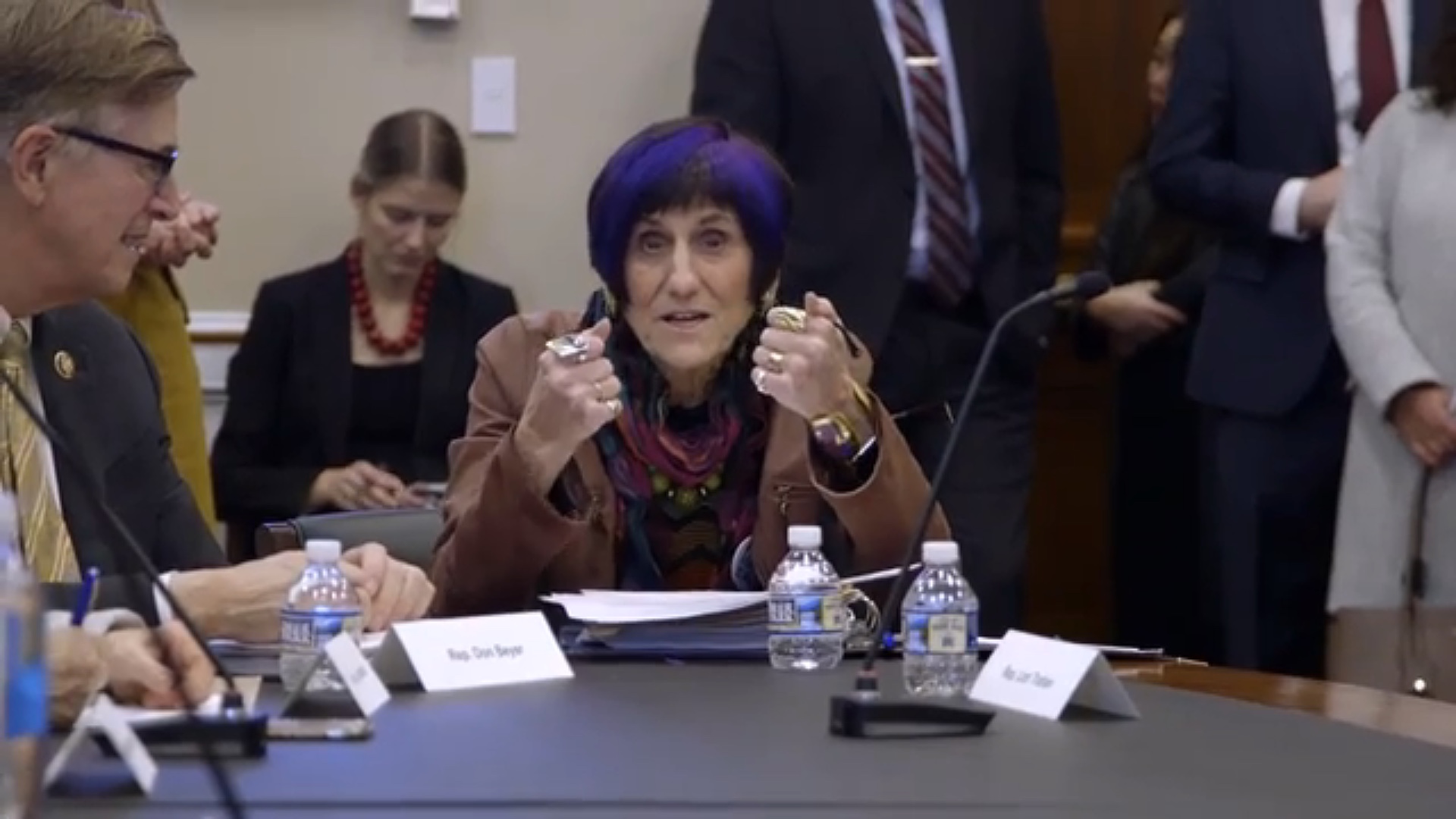 Rosa DeLauro helped introduce the FAMILY Act last year [Al Jazeera]