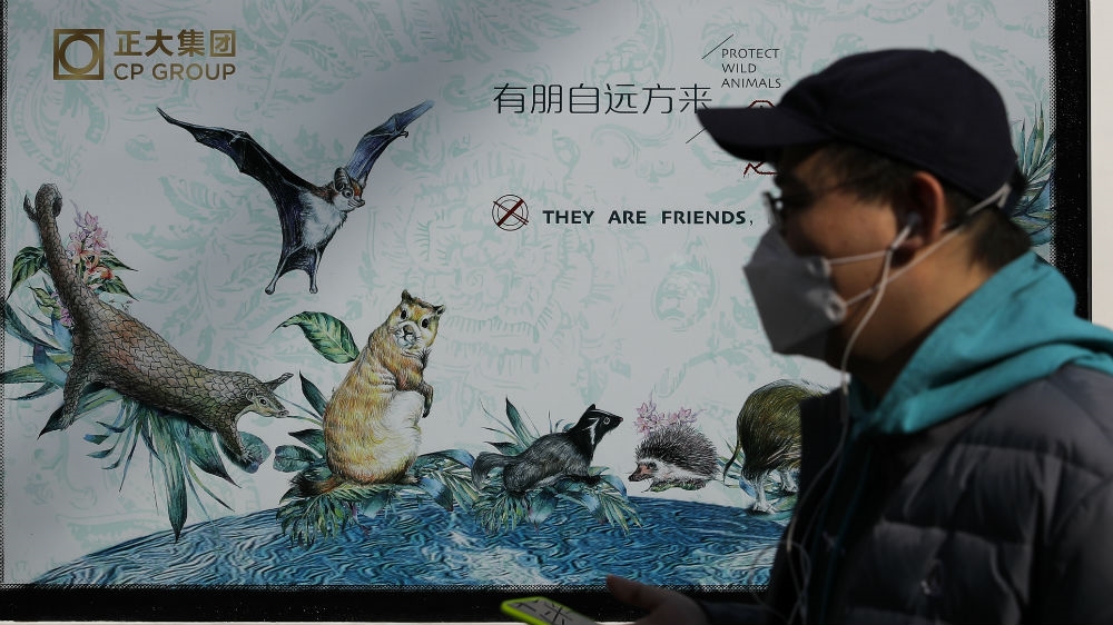 China wildlife