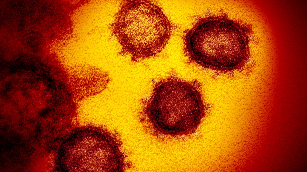 Coronavirus swab
