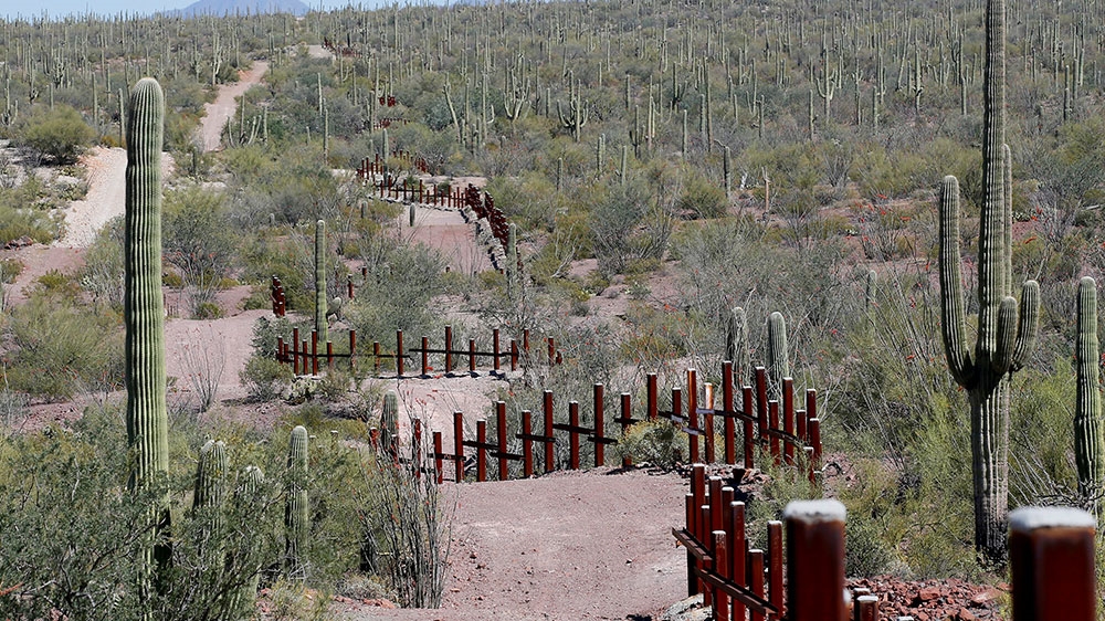 Tohono O'odham 