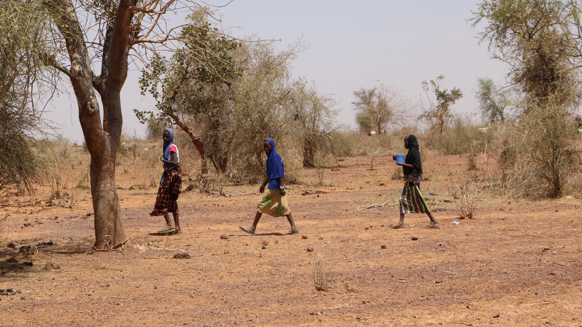 Burkina Faso abduction - [Sam Mednick/Al Jazeera]