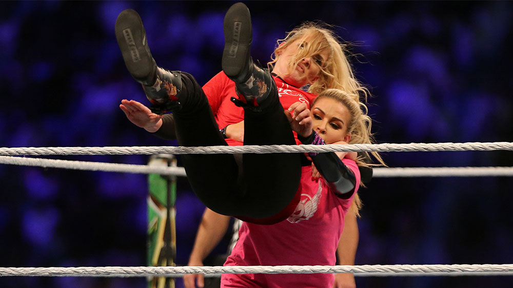 WWE Wrestling