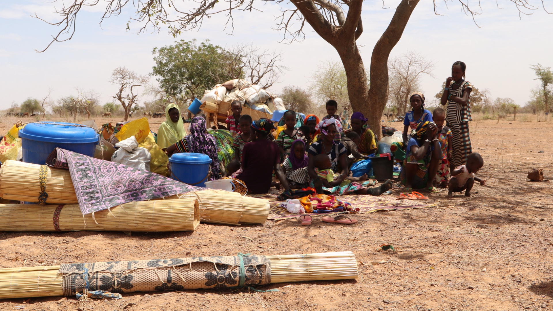 Violence has displaced hundreds of thousands of people in Burkina Faso, including these families who shelter under a tree in a makeshift displacement site in Yatenga province