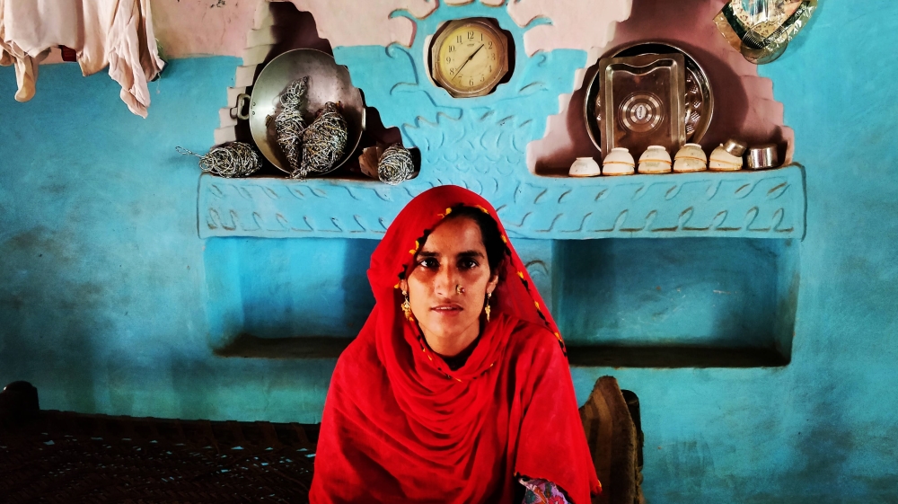 Most Van Gujjar houses have intricate designs that reflect their culture