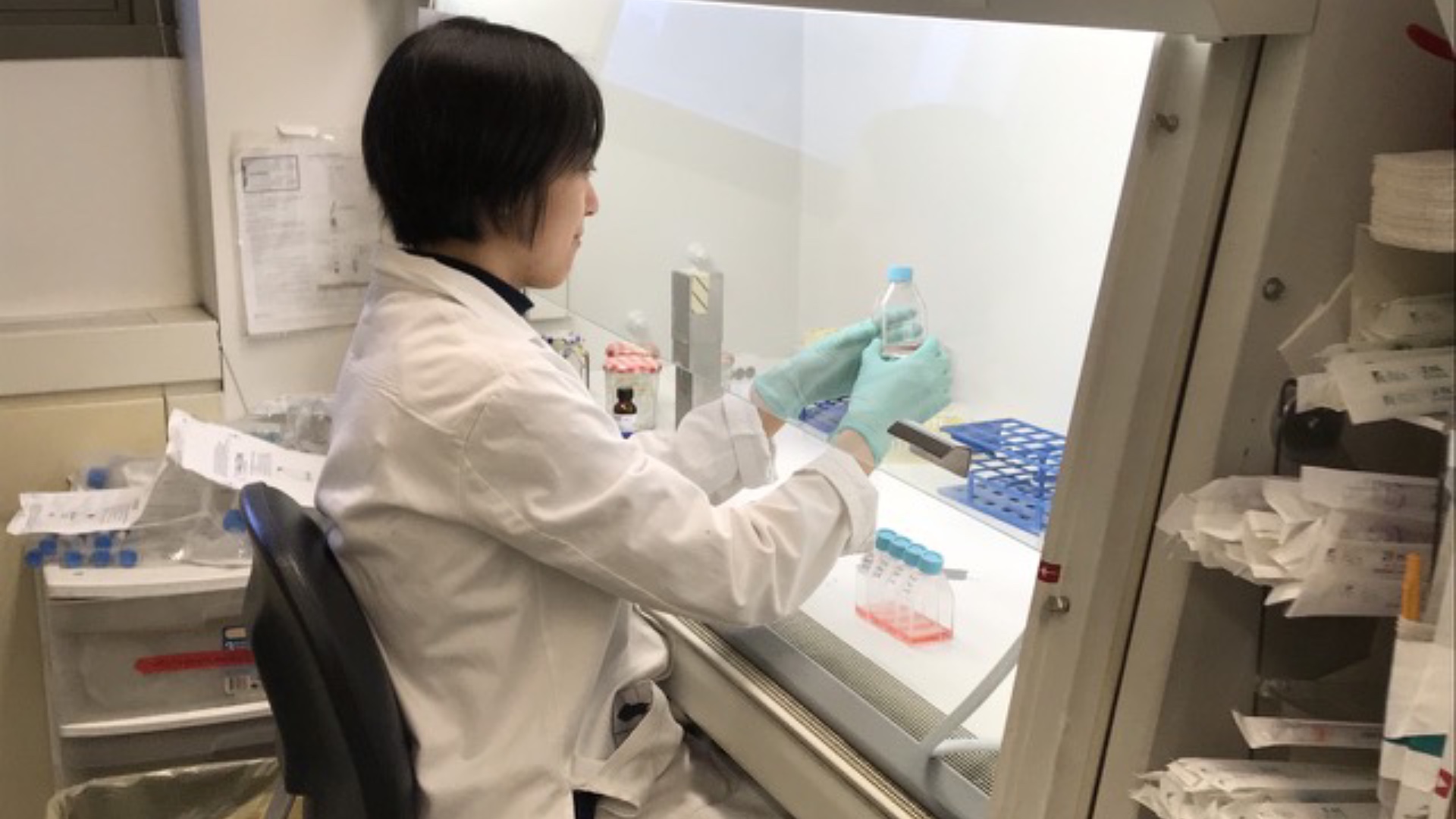 Dr Qian Zhang works in the wet lab [Photo courtesy Dr Zhang]