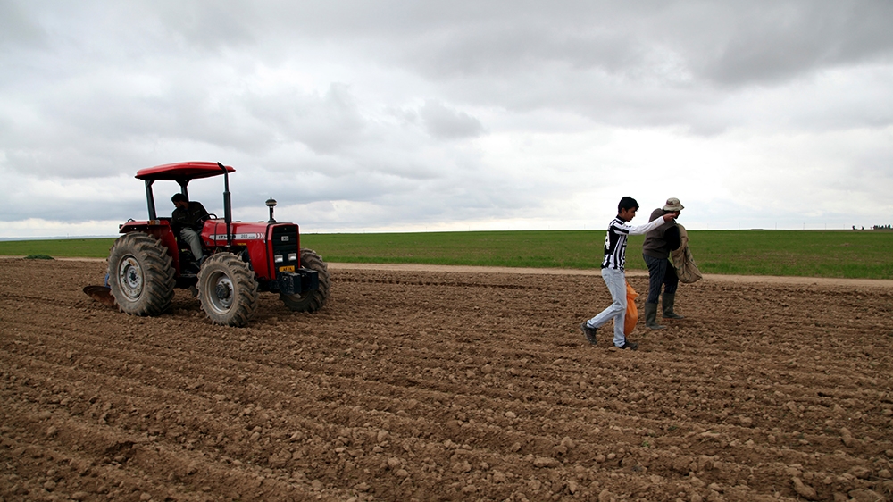 Iraq farms