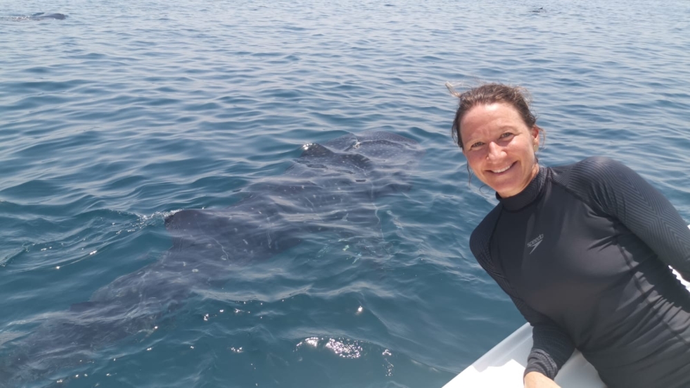 Qatar whale sharks package 