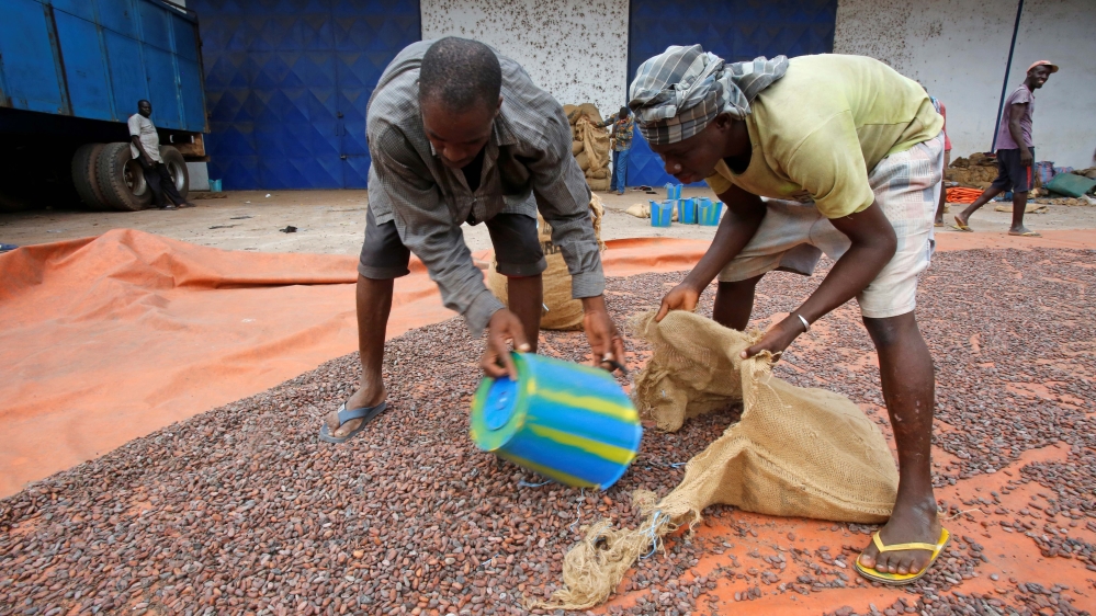 Cocoa Ivory Coast