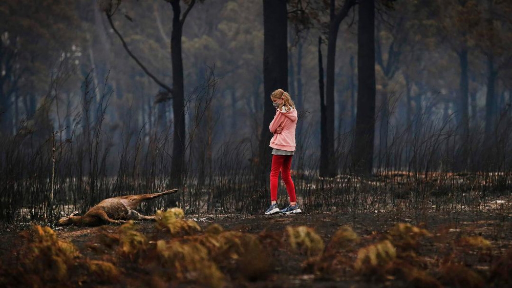 Australia fires